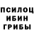 Псилоцибиновые грибы мицелий danunahkaktakto