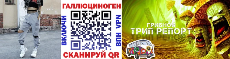 сколько стоит  Первоуральск  Галлюциногенные грибы GOLDEN TEACHER 